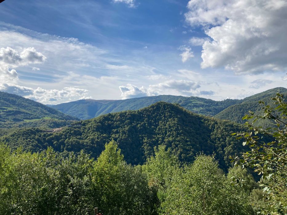 Vindem cabană la Muntele Rece