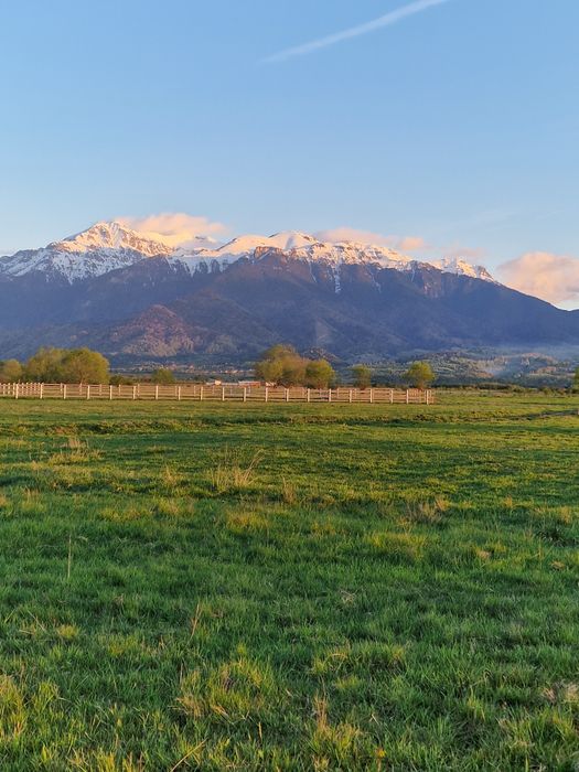 Teren in Rasnov-Brasov