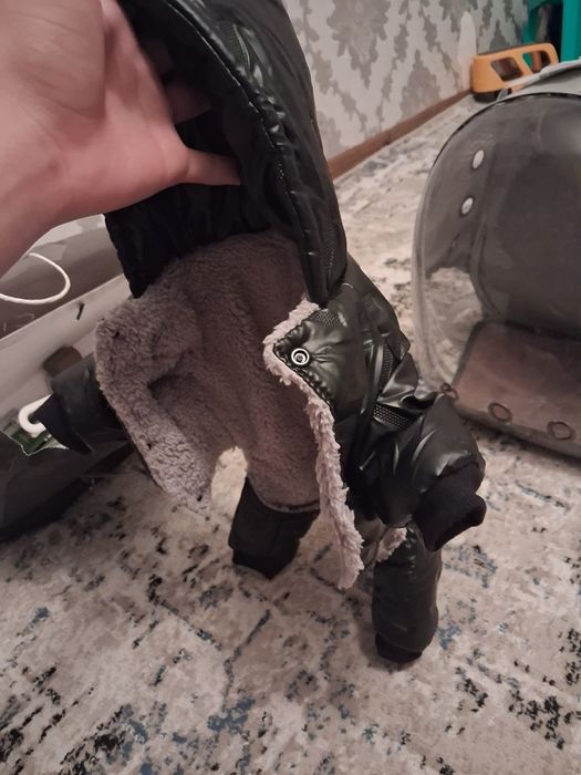 Зоти тоза 1 йош пол:мужское келшамиз