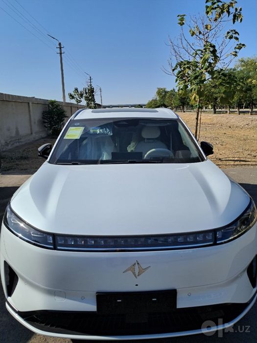 Dong feng elektra 2026