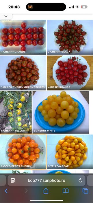 Seminte rosii romanesti si straine ! Am peste 150 soiuri pure !