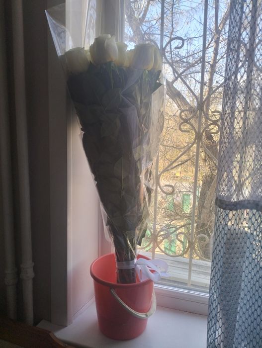 Продам голландские розы