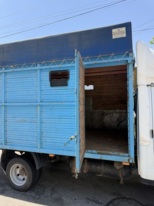 Газель агаш борт