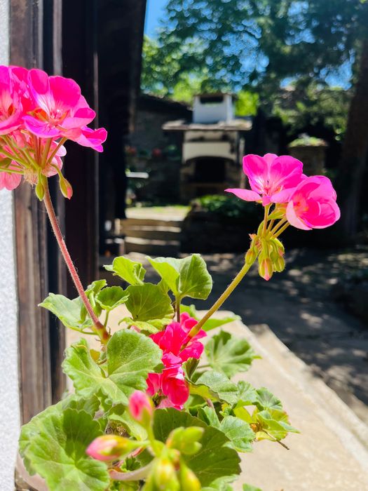 Къща за гости - Любовата къща - с.Иглика