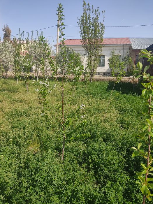 Продам коттедж 6сотих