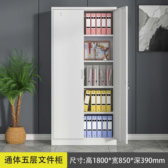 arxiv shkafi \ ikki eshikli hujjat shkafi / office hujjat shkafi