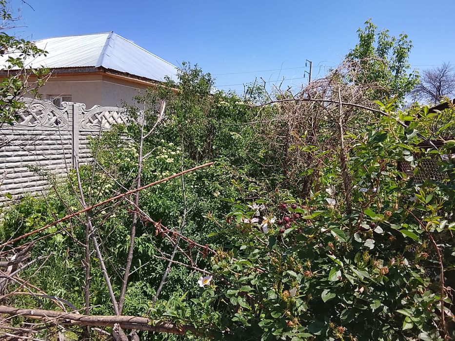 Срочно продам Кумшагал
