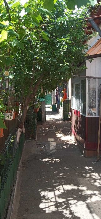 Casa si teren 266 mp Viilor Marius Nasta -Parc Carol