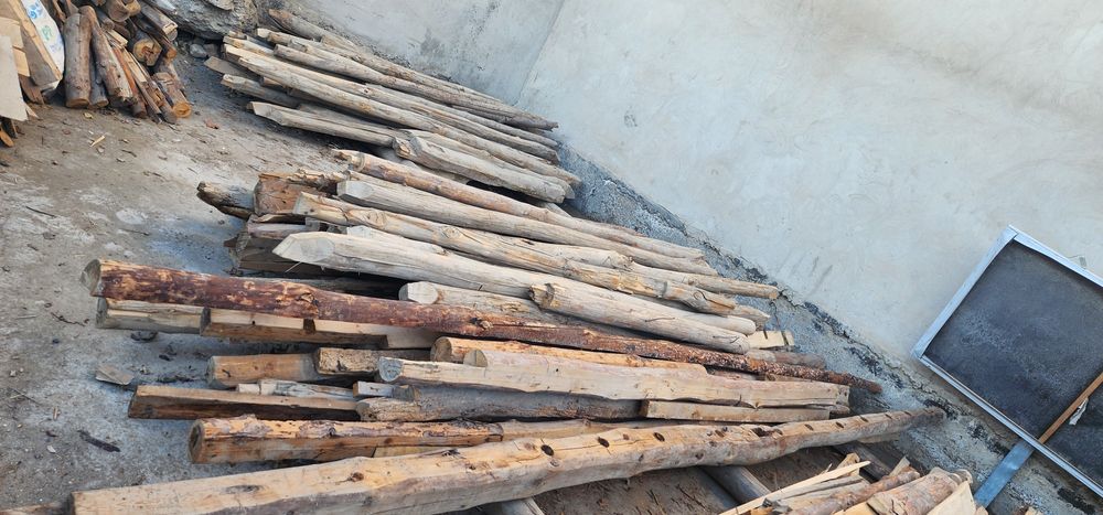 Болочалар сотилади