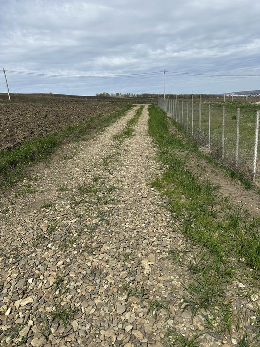 Teren de vânzare – Bosanci