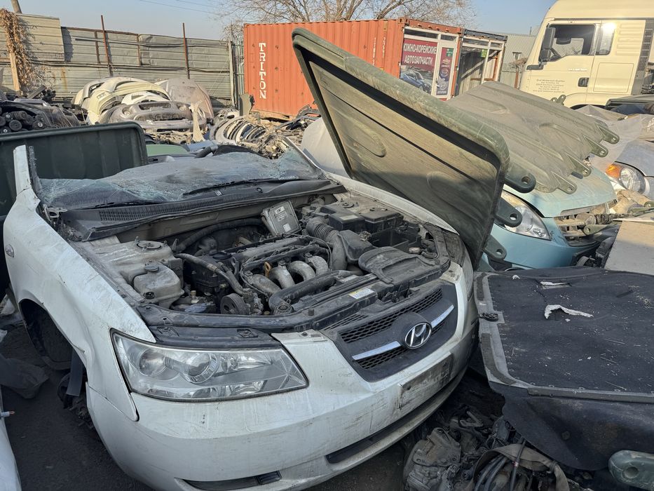 Морда хундай соната