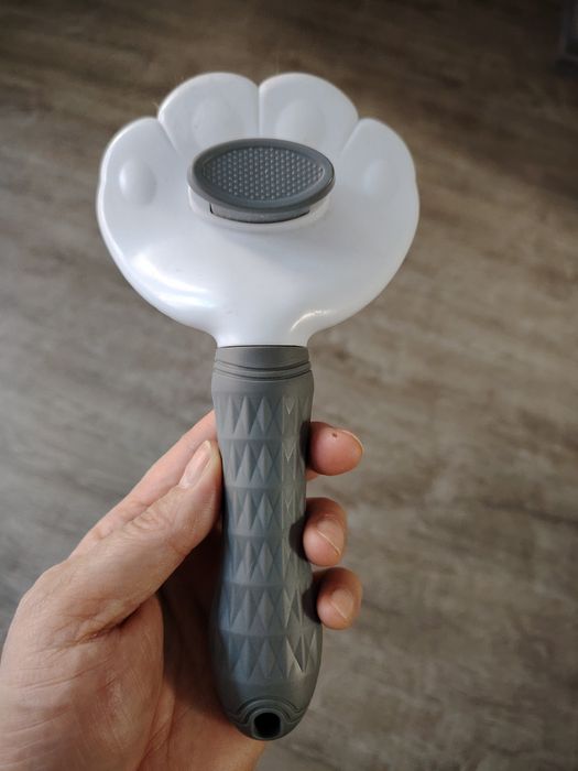 Шикарный игривый кот