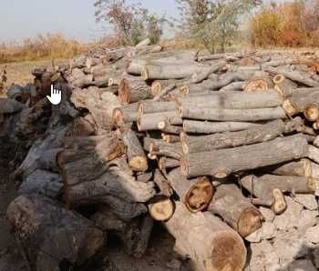 O'tin Утин Дрова отин otin sotiladi qalama bolor kunda