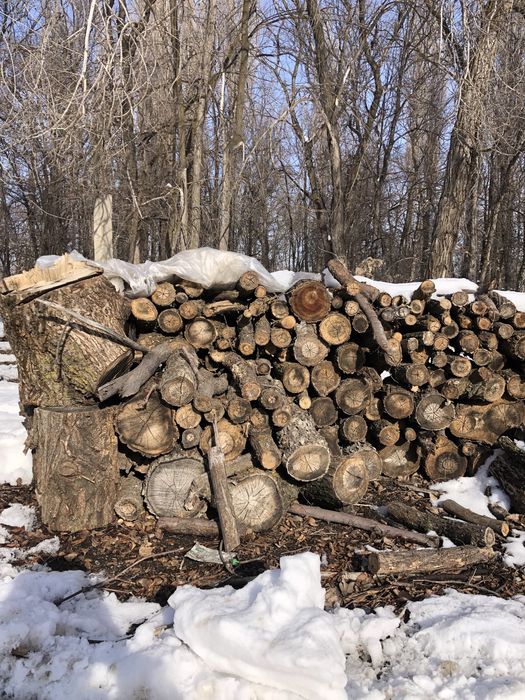 Продаются дрова (карагач сухой)