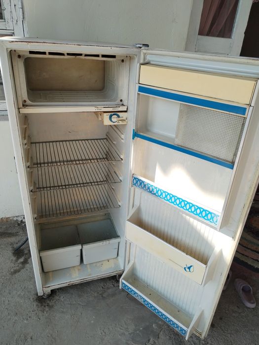 Xoladennik xolati yaxwi xammanarsalari iwlidi