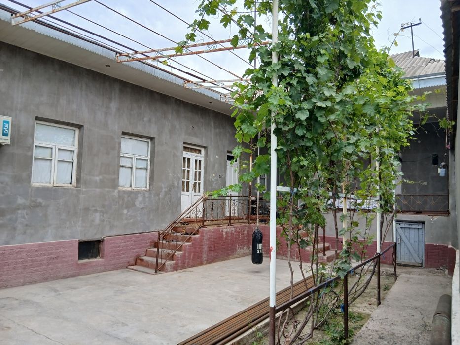 Toshkent viloyati chinoz tumani guliston kochasi 86-uy