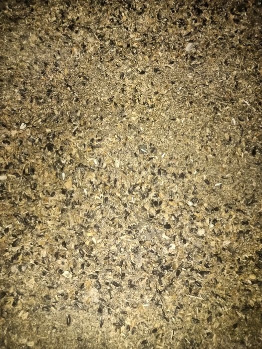 Продам отходы семечки