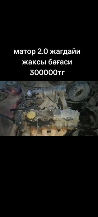 Жагдайи жаксы май жемейди