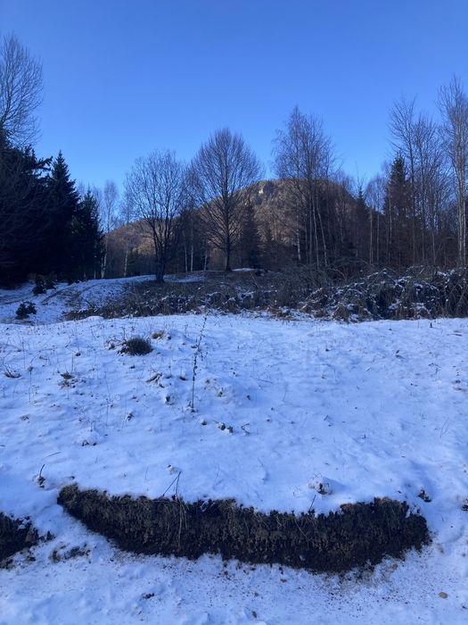 Vand 2 terenuri intravilane si proiect locuinta mobila