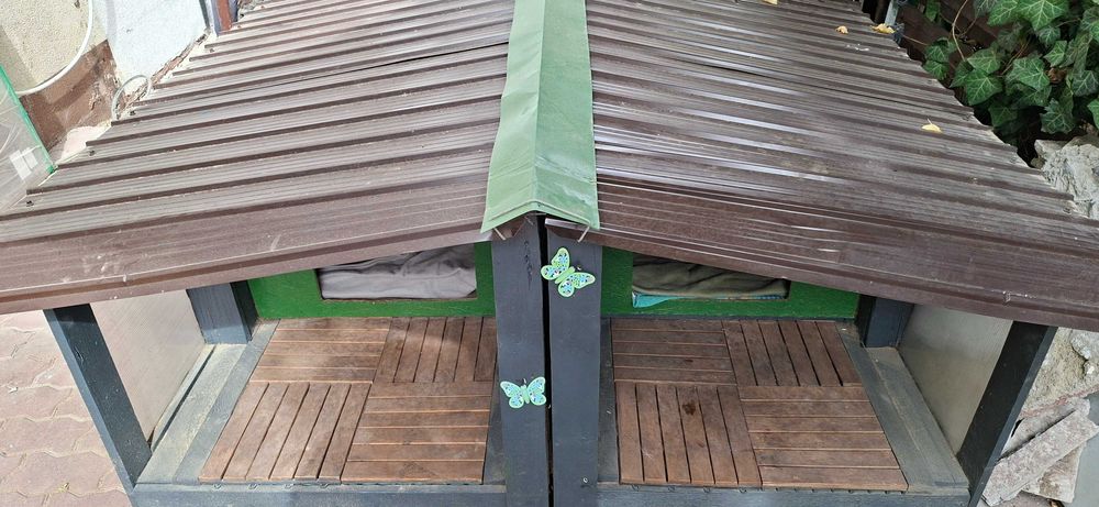 Vand custi caine