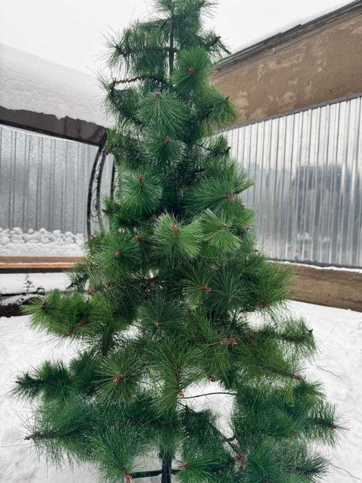 Елка ростом 1,5 м