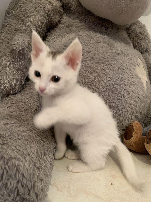 Хорошие руки!