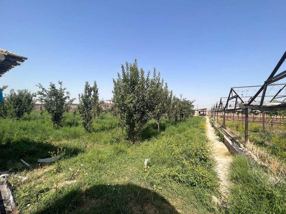 Сдаётся в аренду помещение под бизнес Назарбек