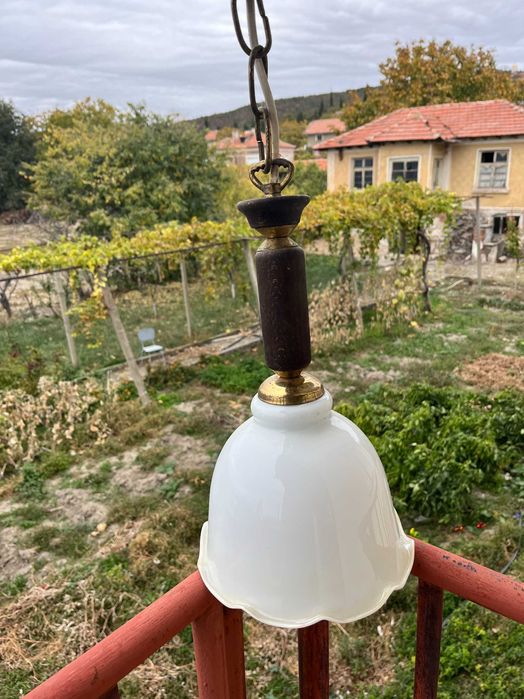 Полилеи - 2 броя