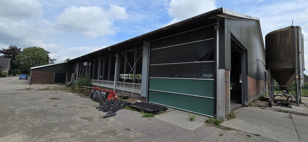 Hala metalica completa grajd vaci 55 /24