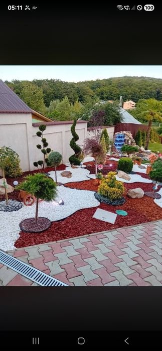 Amenajare gradina cu gazon rulou si plante ornamentale