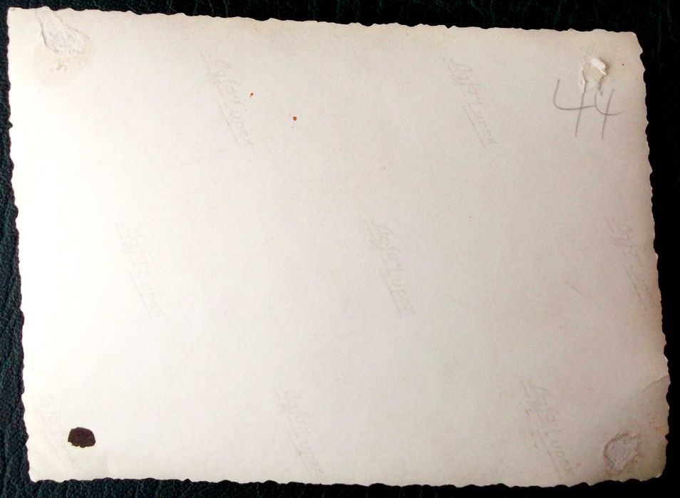 Fotografii Germania nazista cu militari in uniforma