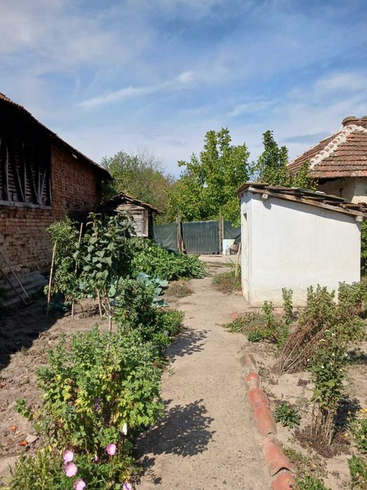 Продава се Къща в с. Брегаре, Област Плевен - 60 кв.м за 298 €/кв.м - Снимка #3