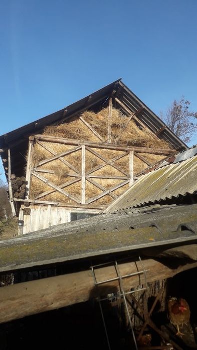 Vând fân coasa I plus coasa aII-a(otavă) de anul acesta calitate bună Alunisu Baiculesti-Alunisu