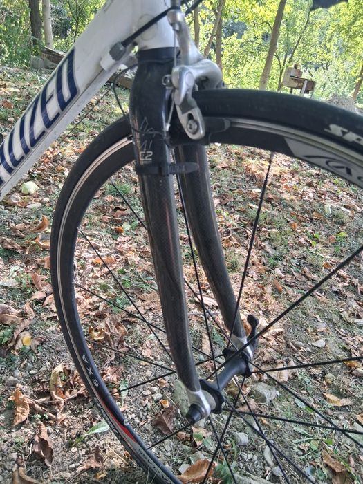 Cursiera  specialized  allez elite