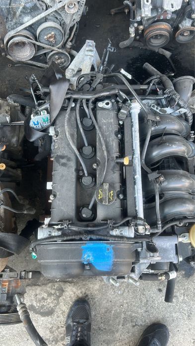 Двс Форд Фокус 1.6 ванус Бензин