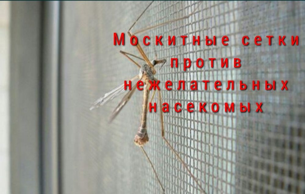 Раздвижные сетки на окна и двери установка бесплатно!