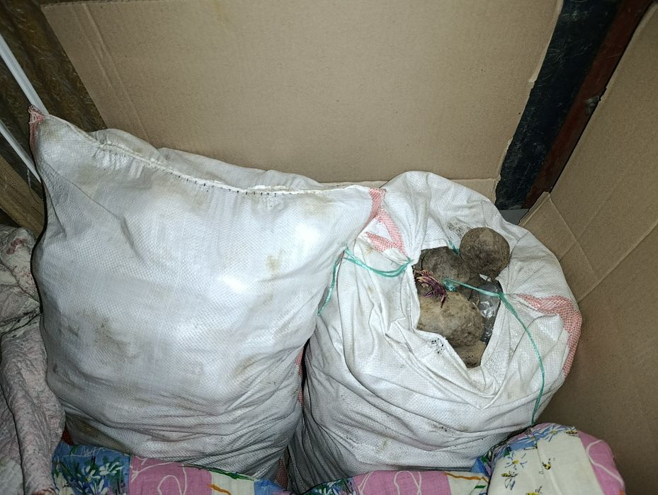 Два мешка свеклы по 50кг