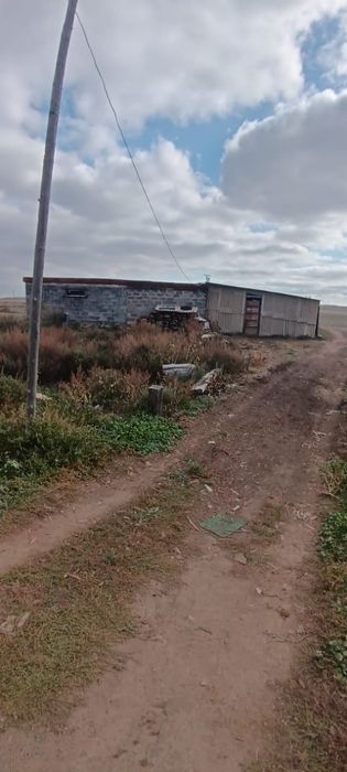 Үй сатылады (продаются дом)