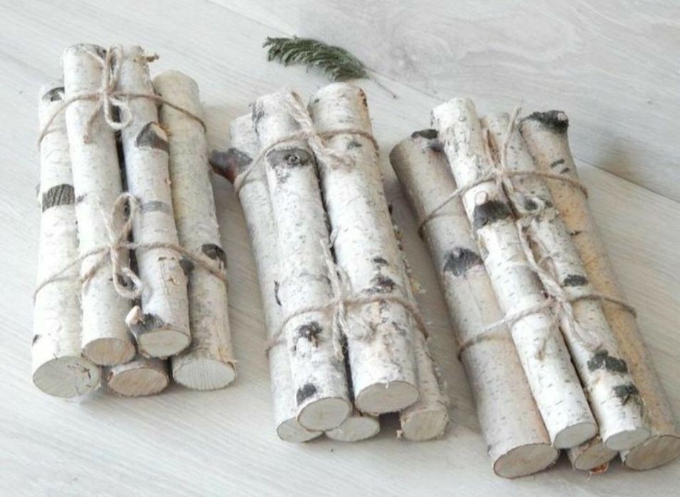 Mesteacan trunchiuri , crengi , rondele pt design sau aranjamente