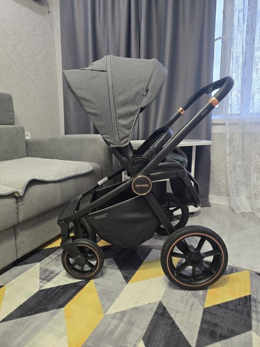 Коляска зима/лето Carello Epica