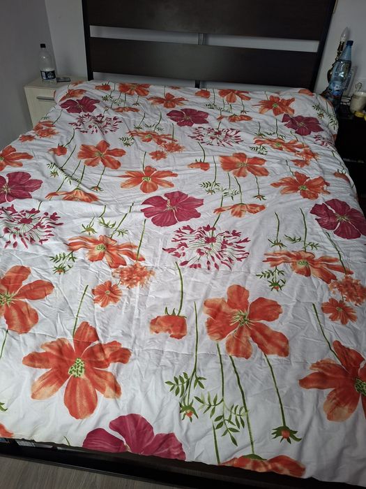 Perna pene gaina+pilota