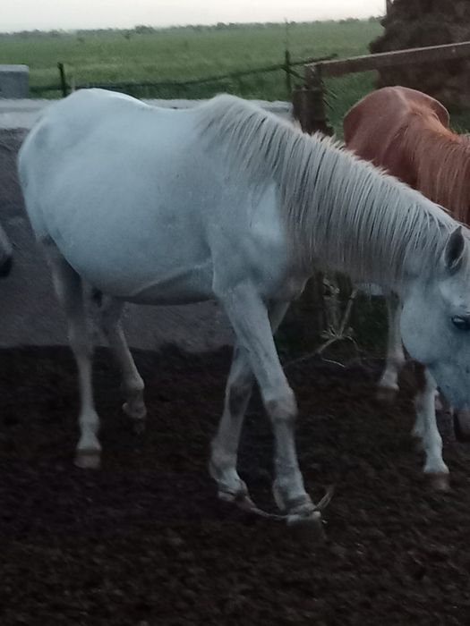 Продается срочно