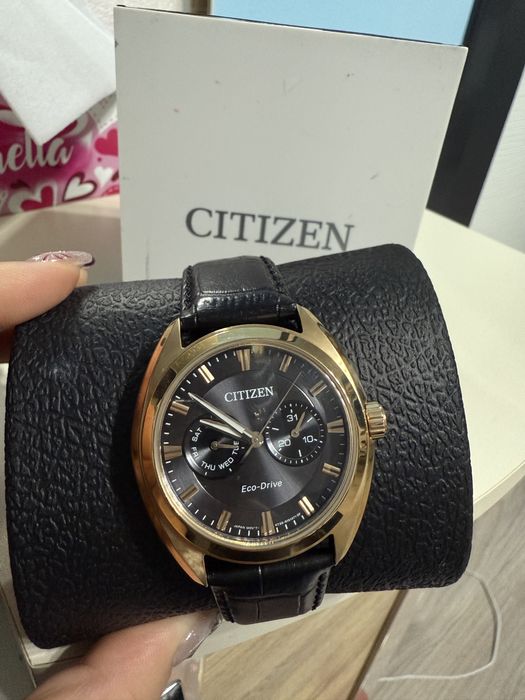 Citizen Promaster Automatic + Chandler eco drive