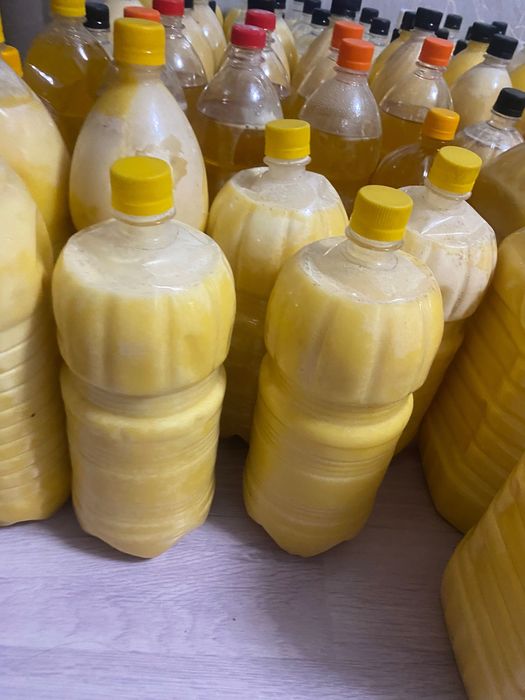 Катон-Карагайский мёд