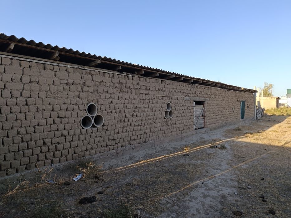 Үй--Дом- Баспана