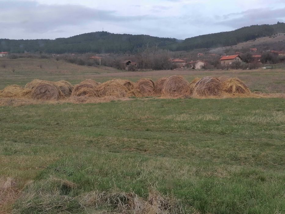 Ролонни бали сено и слама