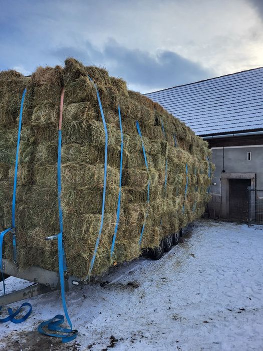 Vand baloti fan  coasa a 2