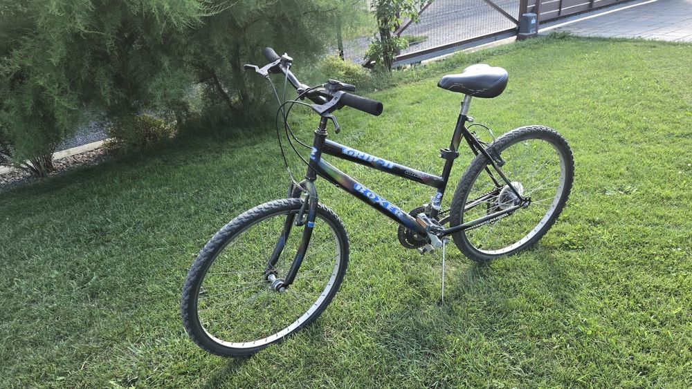 Bicicleta Boxer.