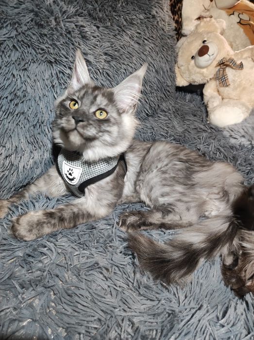 Хотел за вашите домашни любимци