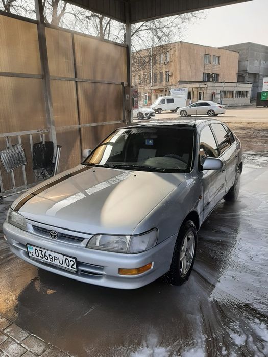 Пппнекаре в России в